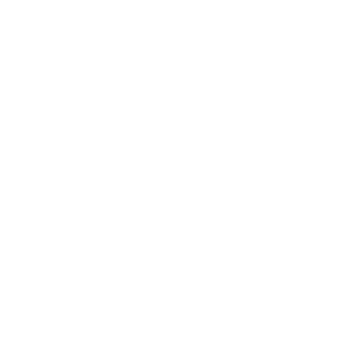 icon13